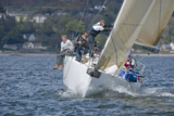 animal gbr3627l kip15 0642w